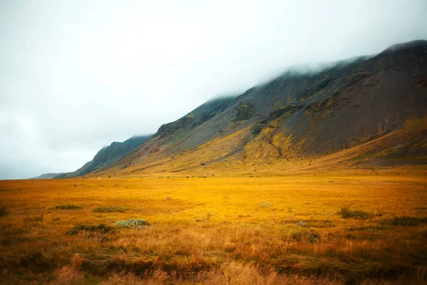 Landscape of Iceland, fog and rain. A journey into a far country — Stock Photo, Image