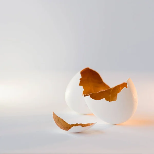 Um símbolo de vida nova, cascas de ovos. Decorativo, cor dourada dentro — Fotografia de Stock
