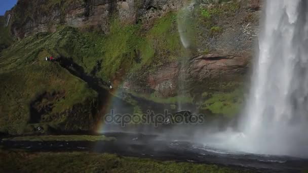 Панорама водопада, радуга в брызгах воды. Красивая природа Исландии — стоковое видео