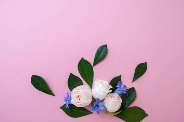 Fleurs sur fond rose, espace libre pour votre texte — Photo