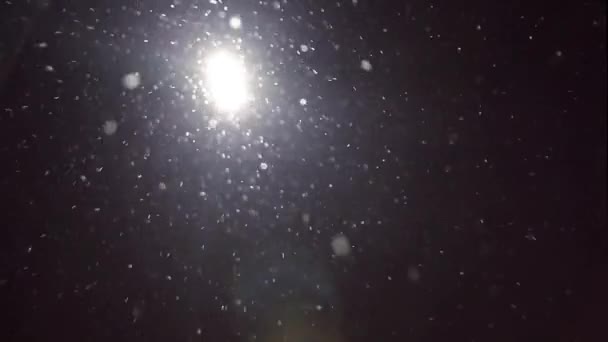 Falling snow at night. Snowflakes on black background, snowflakes fly in the camera — Stock Video