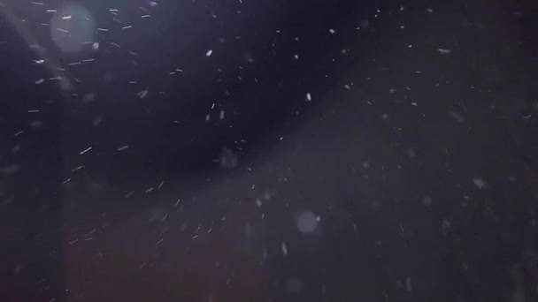 Nachts fällt Schnee. Schneeflocken auf schwarzem Hintergrund, Schneeflocken fliegen in die Kamera — Stockvideo