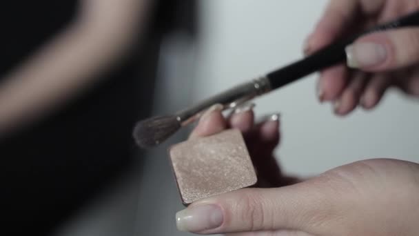 Make-up artiest is het verkrijgen van de oogschaduw op de borstel. — Stockvideo