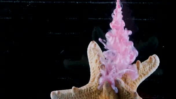 Starfish e a mistura de cores diferentes sob a água. Tinta colorida cair no aquário — Vídeo de Stock