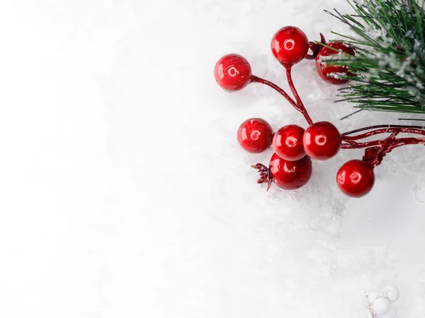 Still life on a winter theme, beautiful cones, cotton and branches of a green Christmas tree sprinkled with snow — Stock Photo, Image