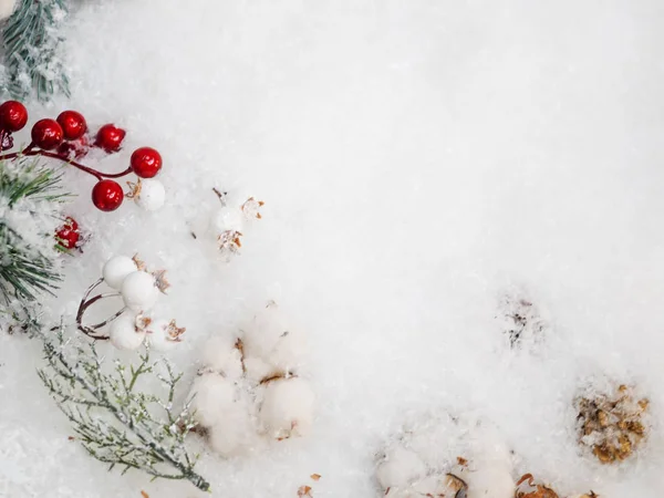 Stilla livet på en vinter tema, vackra kottar, bomull och grenar av en grön julgran beströdd med snö — Stockfoto