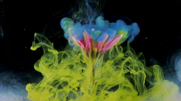 水の下の花と色のインクのスプラッシュ、明るい色。創造的かつ色のミックス, — ストック動画