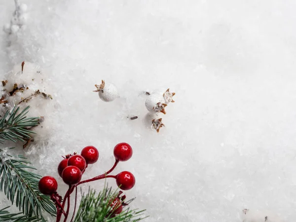 Naturaleza muerta en un tema de invierno, hermosos conos, algodón y ramas de un árbol de Navidad verde salpicado de nieve — Foto de Stock