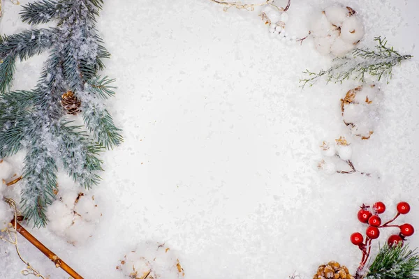 Still life on a winter theme, beautiful cones, cotton and branches of a green Christmas tree sprinkled with snow — Stock Photo, Image