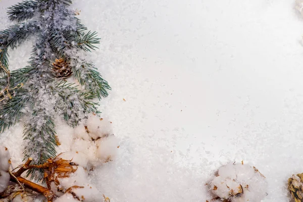 Uroczysty zimowy płaski leżę. Śnieg, szyszki i gałęzie zielonej choinki na białym tle — Zdjęcie stockowe