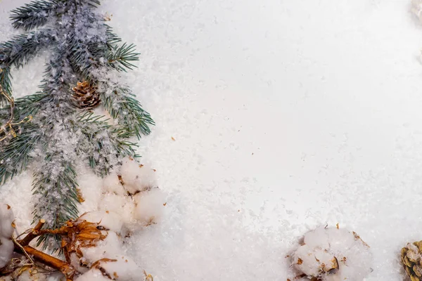 お祭りの冬の平らなレイアウト。白い背景に緑のクリスマスツリーの雪、コーンや枝 — ストック写真