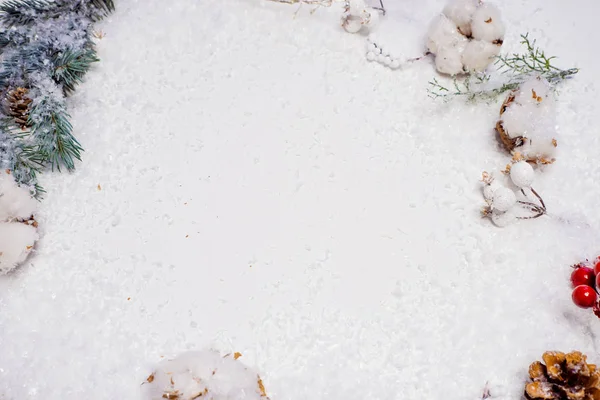 Святкова зимова квартира лежала. Сніг, конуси і гілки зеленої ялинки на білому тлі — стокове фото