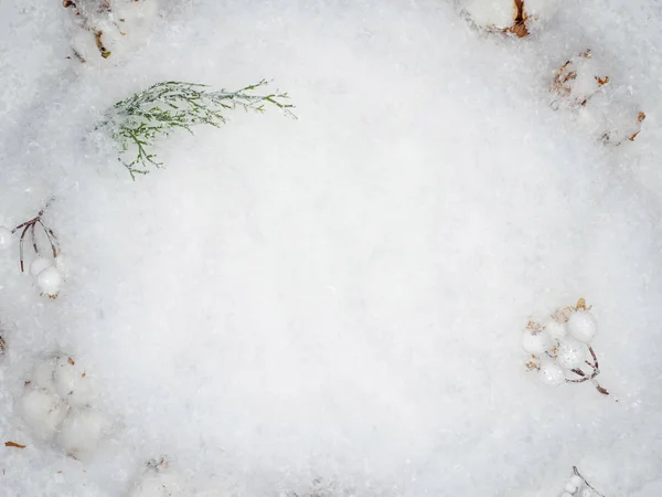 お祭りの冬の平らなレイアウト。白い背景に緑のクリスマスツリーの雪、コーンや枝 — ストック写真