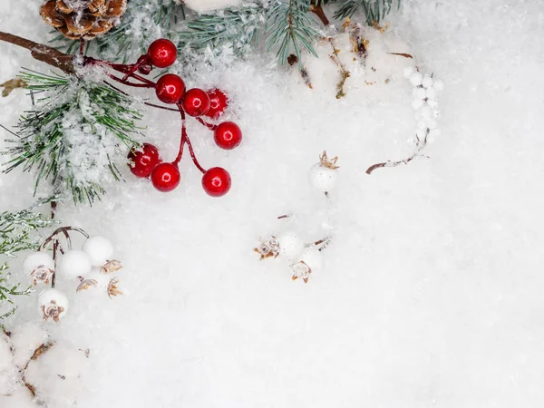 Natura morta su un tema invernale, bei coni, cottone e rami di un albero di Natale verde cosparso di neve — Foto Stock