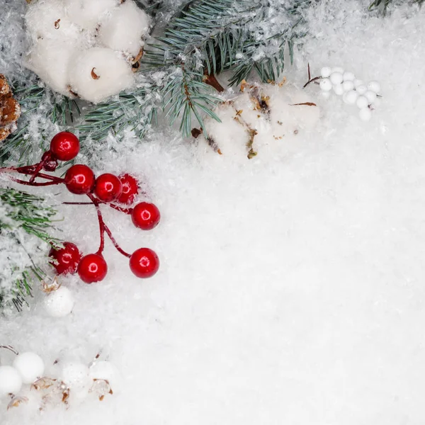 Posa piatta invernale festiva. Neve, coni e rami di un albero di Natale verde su sfondo bianco — Foto Stock