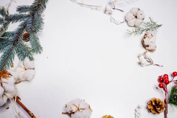 Festive winter flat lay. Snow, cones and branches of a green Christmas tree on a white background — Stock Photo, Image