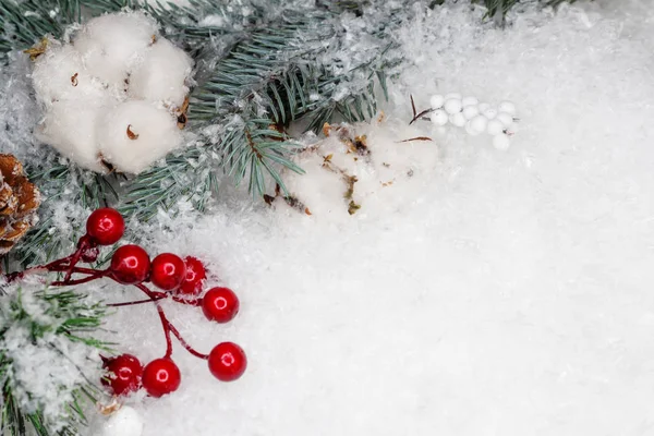 Naturaleza muerta en un tema de invierno, hermosos conos, algodón y ramas de un árbol de Navidad verde salpicado de nieve — Foto de Stock