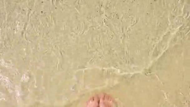 Schritt ins Meer, Frauenfüße auf dem Sand vor der Brandung. — Stockvideo