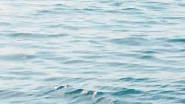 Superficie de agua azul con ondas suaves. El mar azul profundo, las olas brillan al sol , — Vídeo de stock