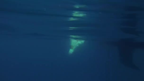 面白い男はセーリングヨットの側から海に飛び込む。水からのアクション撮影, — ストック動画