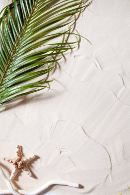 Tropikal plaj Yeşil palmiye yaprağı, bir denizyıldızı ve beyaz bir ağaç dalı beyaz ince kum üzerinde yatıyor. Masaüstü duvar kağıdı.