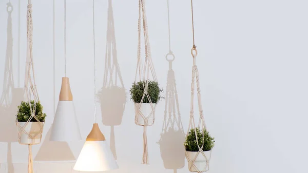 Pots avec plantes à la maison suspendus à l'intérieur, design d'intérieur scandinave clair . — Photo
