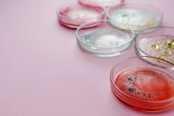 Vírusok és baktériumok Petri-csészében, különböző elemzések a laboratóriumban. Virológiai és víruskutatás, koncepció. — Stock Fotó