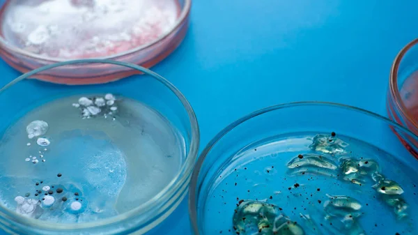 Virus dan bakteri dalam cawan Petri, berbagai analisis di laboratorium. Virologi dan penelitian virus, konsep. — Stok Foto