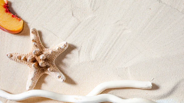 Beach vacation. Starfish, and a white tree branch and juicy fruits lie on white fine sand. Desktop wallpaper. — Stock Photo, Image