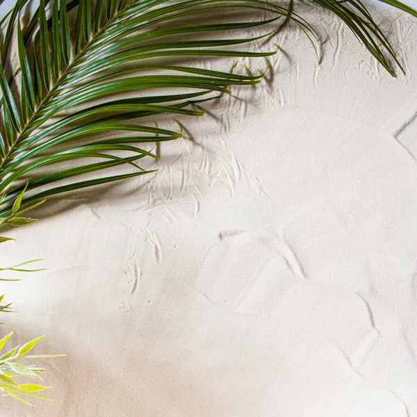 Tropisch strand. Groene Palm blad ligt op het witte fijne zand. Close-up, bovenaanzicht, bureaubladachtergrond. — Stockfoto