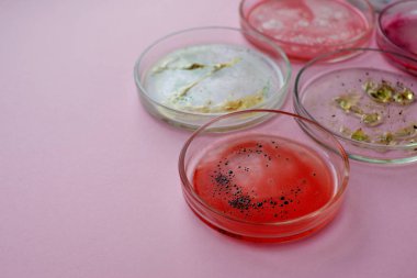 Petri kabındaki virüsler ve bakteriler, laboratuvardaki çeşitli analizler. Viroloji ve virüs araştırması, konsept.