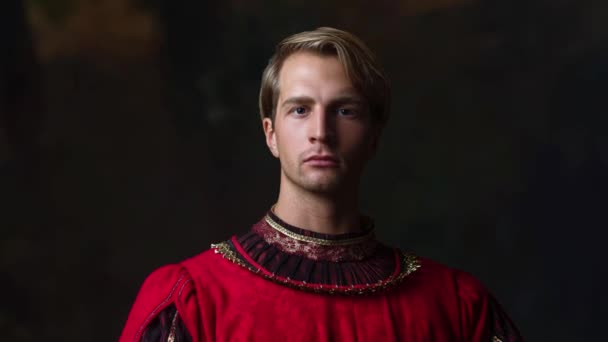 Handsome man in a Royal red doublet. Young man, portrait in — Stock Video