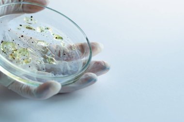 Salgın ve küresel virüs saldırısı konsepti. Laboratuvar teknisyeni ya da araştırmacı bir Petri kabını elinde tutuyor.