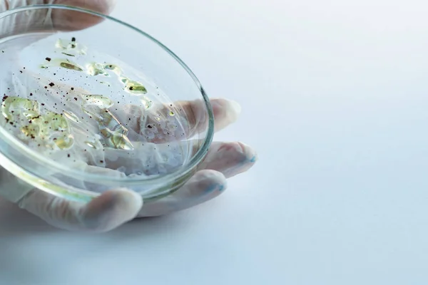 Epidemi dan konsep serangan virus global. teknisi laboratorium atau peneliti memegang cawan Petri dengan sampel — Stok Foto