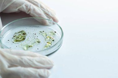 Salgın ve küresel virüs saldırısı konsepti. Laboratuvar teknisyeni ya da araştırmacı bir Petri kabını elinde tutuyor.