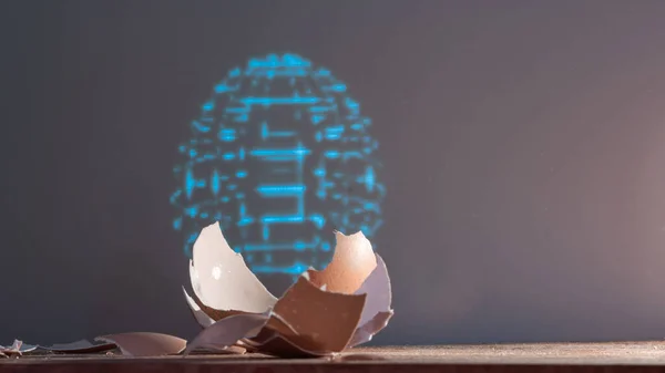 Fragmentos de cascas de ovos e um holograma de um ovo artificial inteiro . — Fotografia de Stock