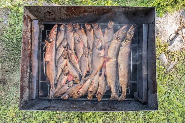 燻製魚の静物画です — ストック写真