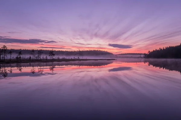 Orman göl kenarında inanılmaz gündoğumu.