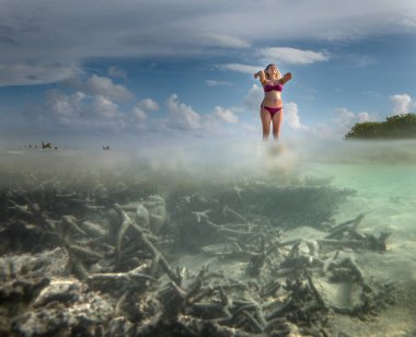 Underwater photo of environment of Maldivian island clipart