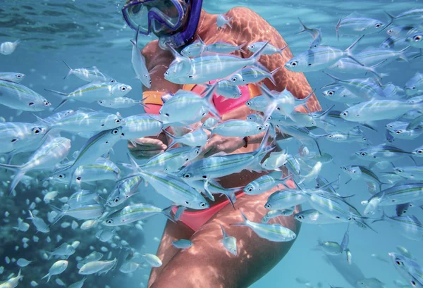 Femme est plongée avec tuba et nourrir les poissons dans une eau claire de l'océan Indien — Photo