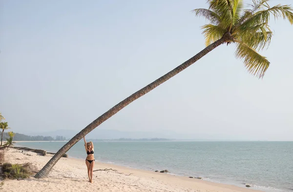 Güzel kadın palmiye ağacı üzerinde rahatlatıcı — Stok fotoğraf
