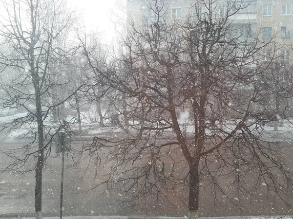 Kışın pencereden bakmak — Stok fotoğraf