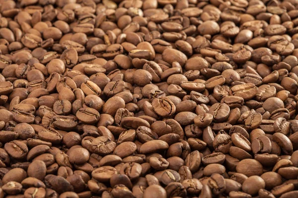 Lots of coffee beans — Stock Photo, Image