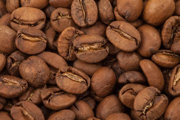 Bir sürü kahve çekirdeği — Stok fotoğraf