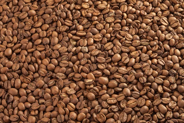 Massor av kaffebönor — Stockfoto