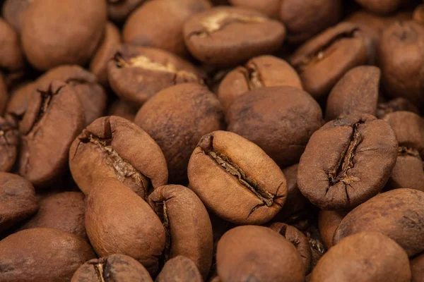 Feijão de café close-up — Fotografia de Stock