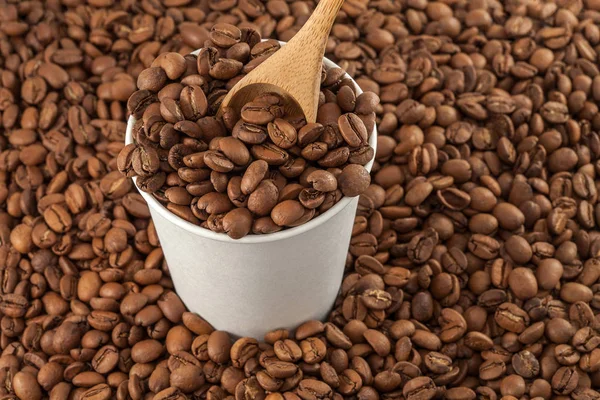 Coffee beans in a cup — Stock Photo, Image