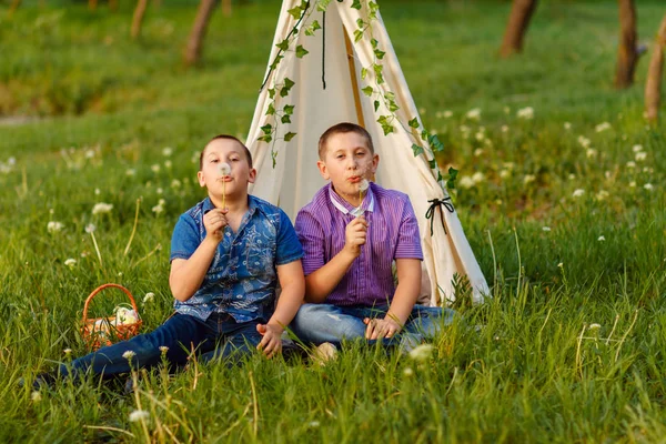 Lindos meninos soprando sementes de dente de leão ao ar livre em uma grama verde — Fotografia de Stock