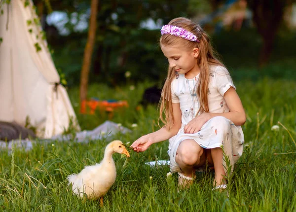 Malá dívka si hraje s baby husu. Krásné, zvíře. — Stock fotografie