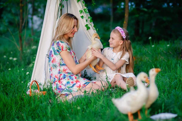 Mom keeps the goose and shows her daughter — Stock Photo, Image